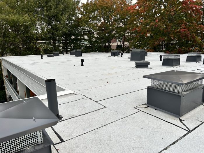 Vesikaton peruskorjaus. Projektinjohtorakennuttaminen, suunnittelu ja valvonta. Kuntotutkimus