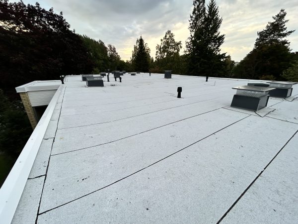 Vesikaton peruskorjaus. Projektinjohtorakennuttaminen, suunnittelu ja valvonta. Kuntotutkimus