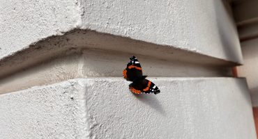 Julkisivujen_kuntotutkimus Julkisivun kuntotutkimus ja julkisiven kuntoarvio käynnissä