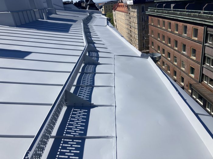 Vesikaton maalaustöiden projektinjohto ja valvonta hilaristikkokoe